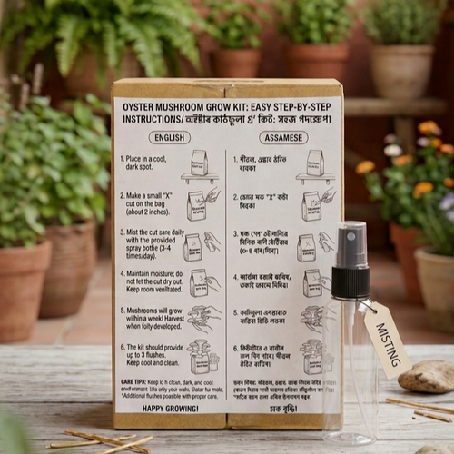 Oyster Mushroom Grow Kit