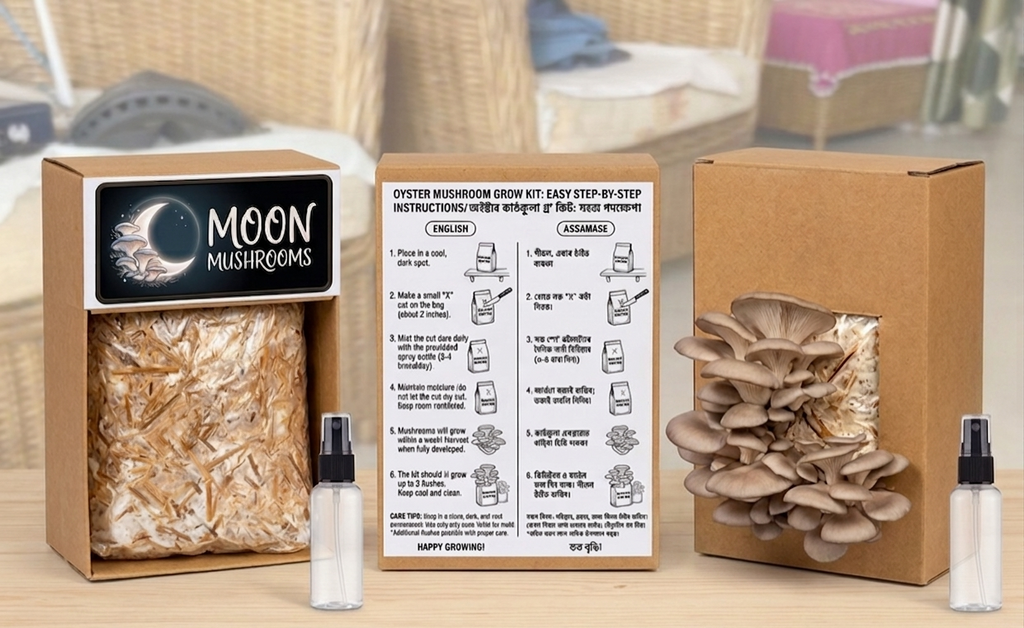 Oyster Mushroom Grow Kit