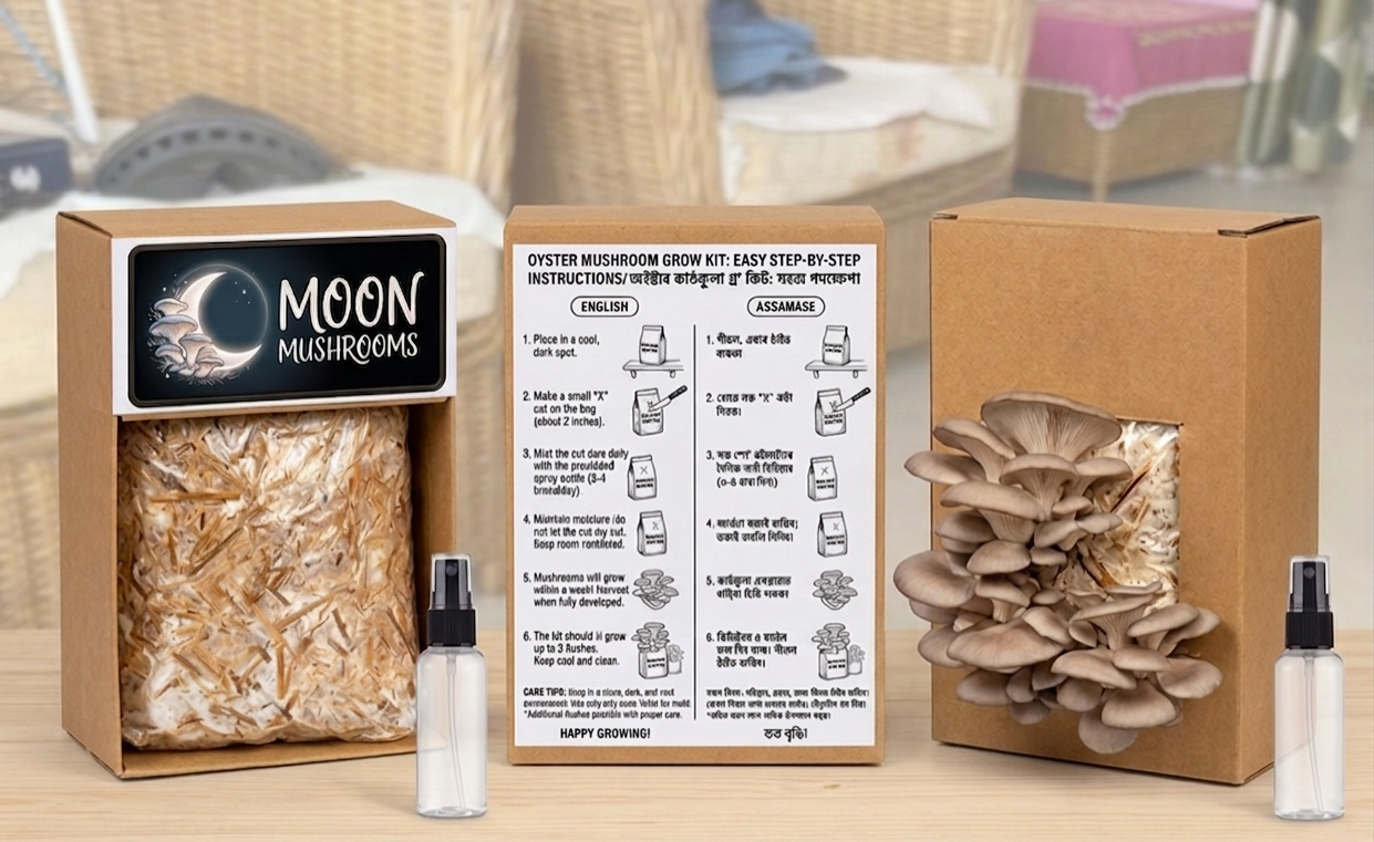 Oyster Mushroom Grow Kit